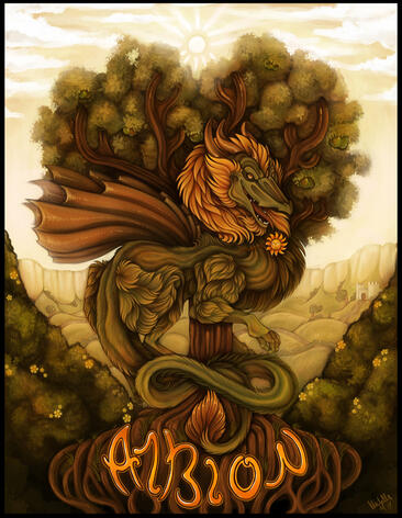 Albion Albion